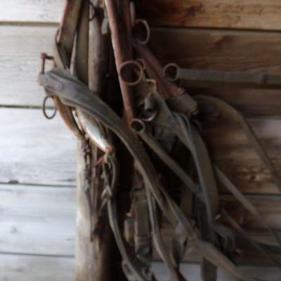 BB-3  VINTAGE HORSE TACK   