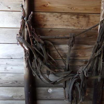 BB-3  VINTAGE HORSE TACK   