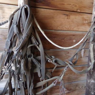 BB-3  VINTAGE HORSE TACK   