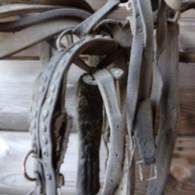 BB-3  VINTAGE HORSE TACK   