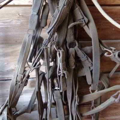 BB-3  VINTAGE HORSE TACK   