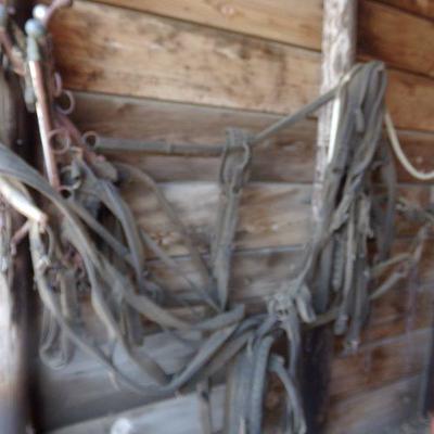 BB-3  VINTAGE HORSE TACK   