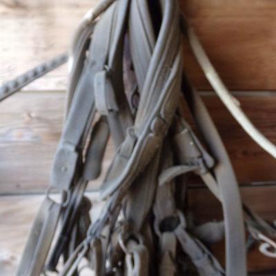 BB-3  VINTAGE HORSE TACK   