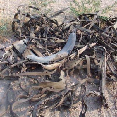 BB-7  LARGE LOT OF VINTAGE HORSE TACK   