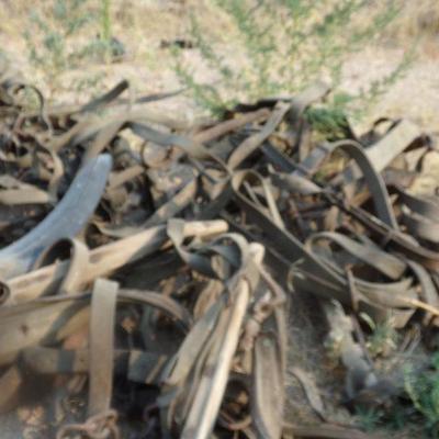 BB-7  LARGE LOT OF VINTAGE HORSE TACK   