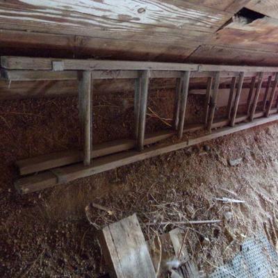 BB-25  WOODEN LADDER