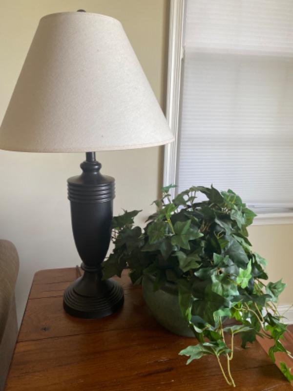 166 Pottery Barn Lamp and Artificial Plant