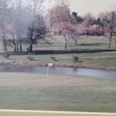 G55: Large Golf Print