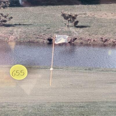 G55: Large Golf Print