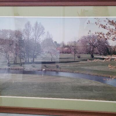 G55: Large Golf Print