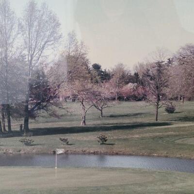 G55: Large Golf Print