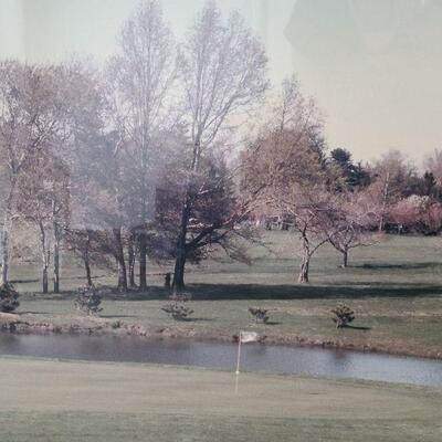 G55: Large Golf Print