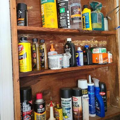 G79:  Misc. Lot of Garage Cleaners