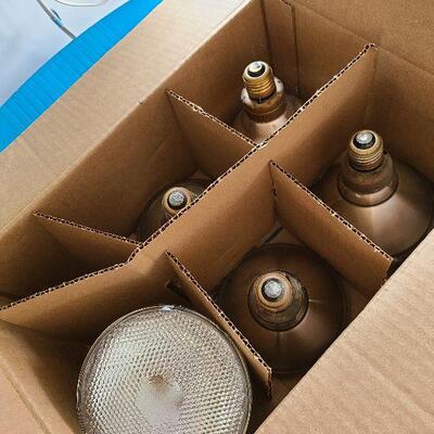 G85:  Phillips Halogen Lights. 90 watt bulbs.