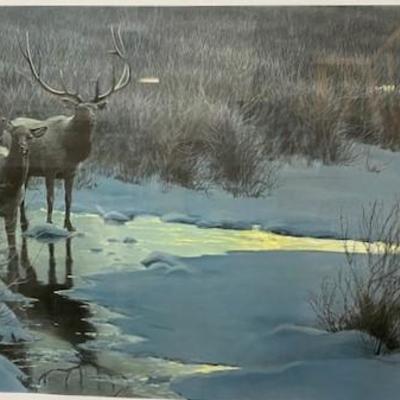 LOT#A100: "Evening Light-Elk" by Robert Bateman Signed Print