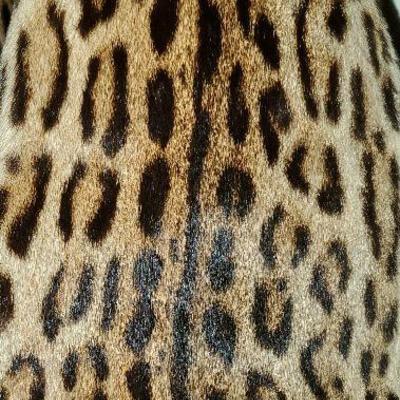 GORGEOUS Antique Authentic Full length cat Leopard Ocelot Fur coat - not dyed - Excellent condition