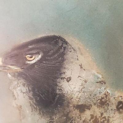 Very unique - Kaiko Moti Limited Edition - Golden Eagle Etching & Aquatint