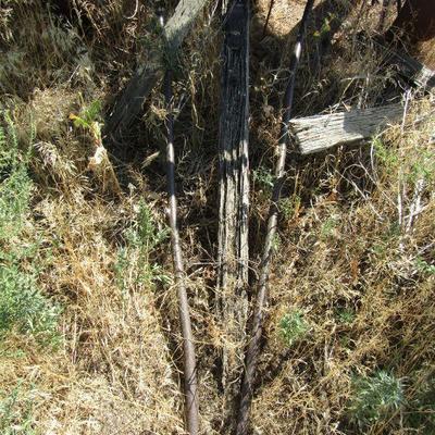 F-2   WAS AN ANTIQUE WAGON