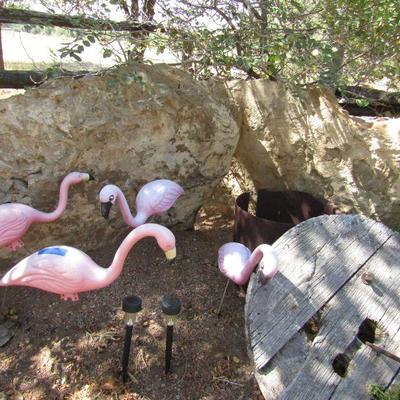 Y-13  BUTTERFLIES & FLAMINGOS