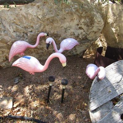 Y-13  BUTTERFLIES & FLAMINGOS