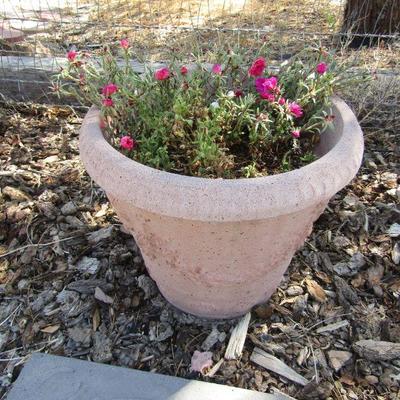 Y-21  4 LARGE CONCRETE OR TERRACOTTA PLANTERS