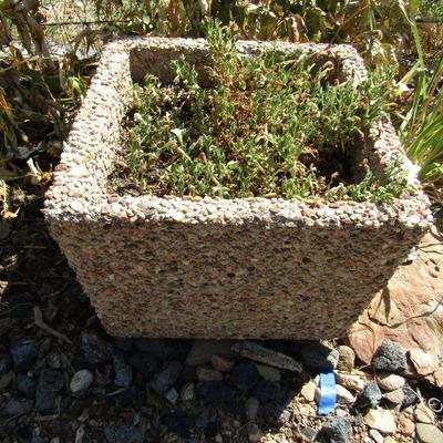 Y-22  3 LARGE CONCRETE PLANTERS