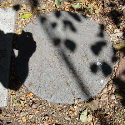 Y-27  SIX STEPPING STONES