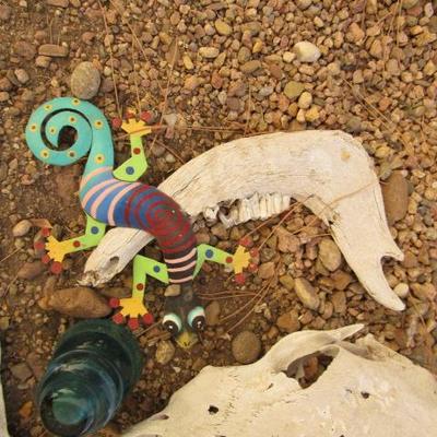 Y-29  SKULLS, BONES AND TEETH