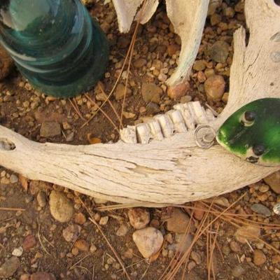 Y-29  SKULLS, BONES AND TEETH