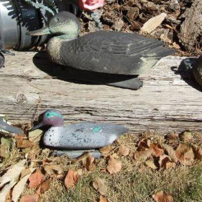 Y-35  DUCK DECOYS