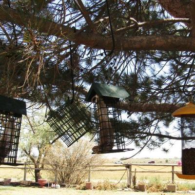 Y-38  FOUR BIRD FEEDER & GECKO WIND CHIME