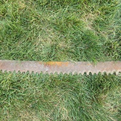 LOT 319  TWO MAN HAND SAW