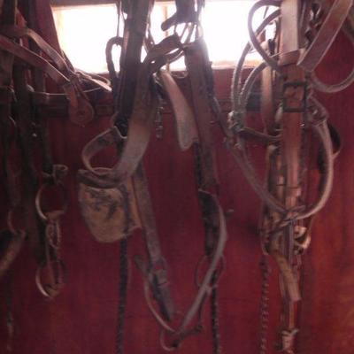 S2-5  HORSE TACK 