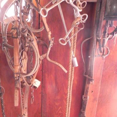 S2-5  HORSE TACK 