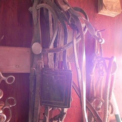 S2-5  HORSE TACK 