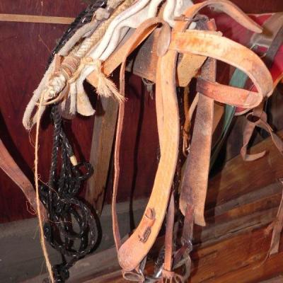 S2-9  HORSE TACK