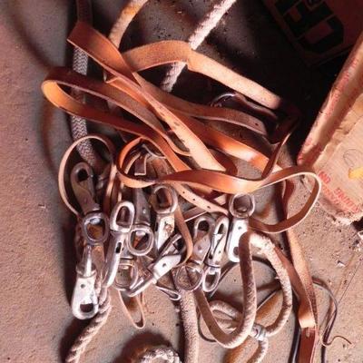 S2-9  HORSE TACK