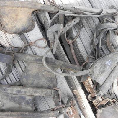 S2-19  LARGE LOT OF HORSE TACK