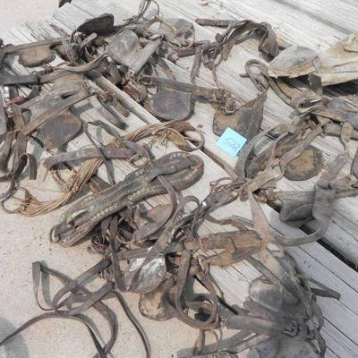 S2-19  LARGE LOT OF HORSE TACK