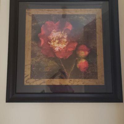 Framed Flower Print