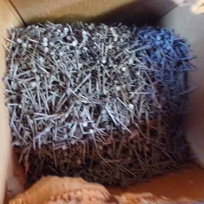 WS-24  SCREWS, NAILS, AND BOLTS WITH NUTS