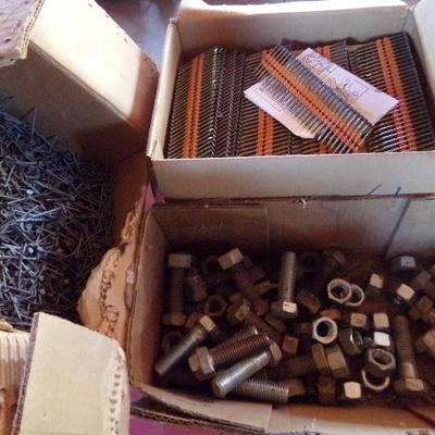WS-24  SCREWS, NAILS, AND BOLTS WITH NUTS