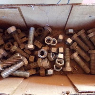 WS-24  SCREWS, NAILS, AND BOLTS WITH NUTS