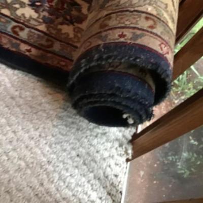 239. Oriental Style Rug