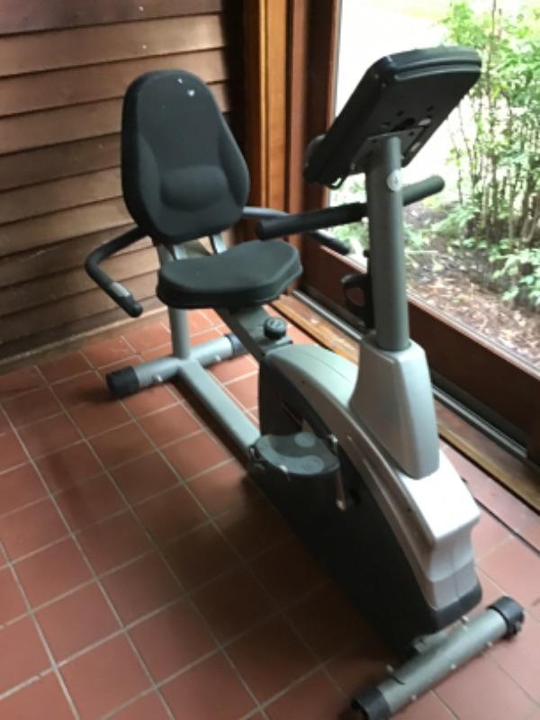 schwinn 203