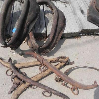 S2-24  HORSE COLLARS AND HARNESSES' 