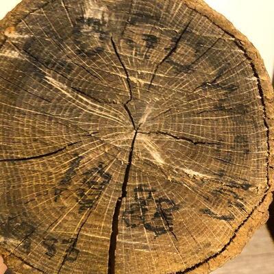 CL2:  Beach House Decor