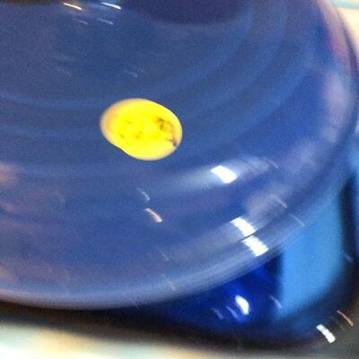 CL29: Casserole/Lasagna Glass Pans