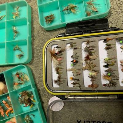 #137 Flies and Fly Cases