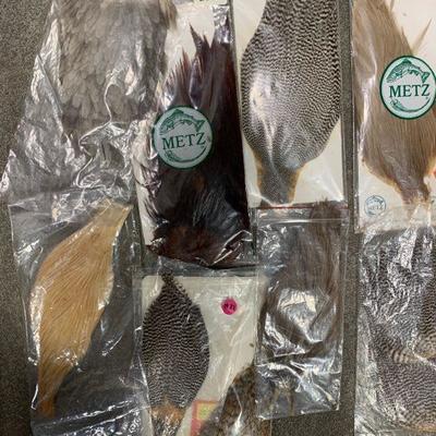 #21 Misc. Bird Feathers